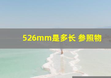 526mm是多长 参照物